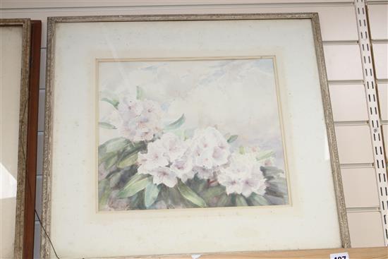 Nora H. Cullen (Exh 1933-40), four watercolours, Flower studies, largest 35 x 40cm